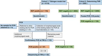 Tübingen model study: large-scale introduction of rapid antigen testing in the population and the viral dynamics of SARS-CoV-2